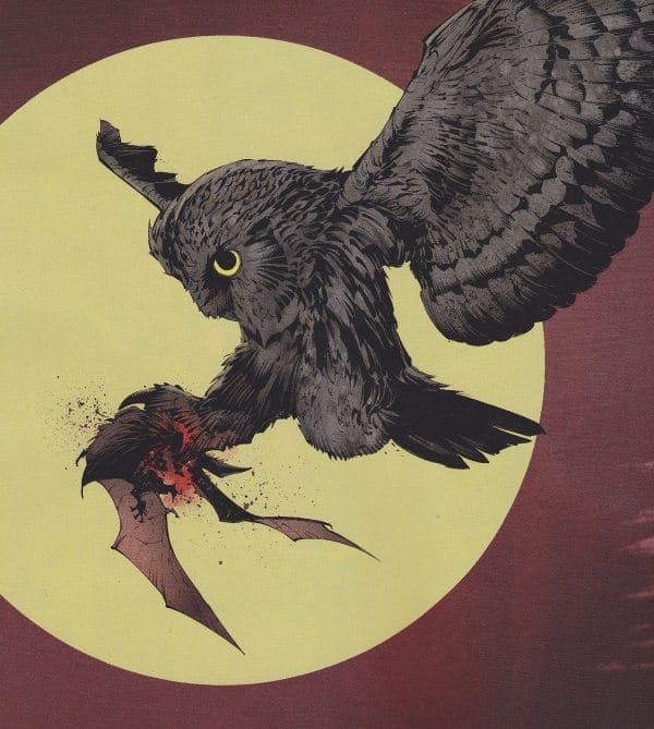 owl killing bat