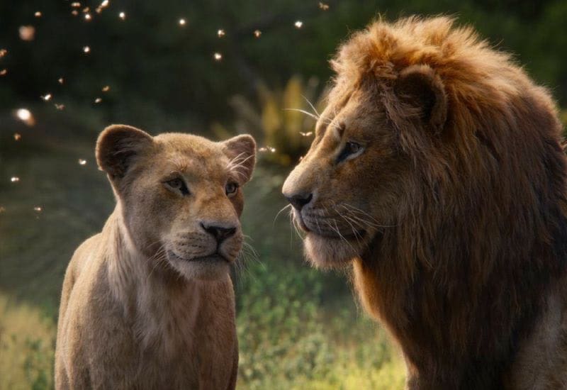 the lion kind movie review
